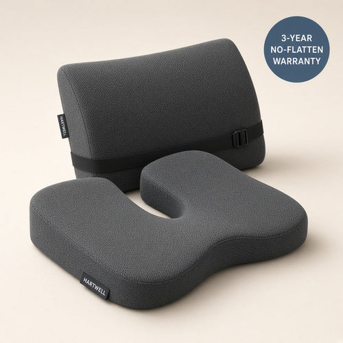 Hartwell Coccyx Relief Seat Cushion