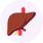Beef Liver icon